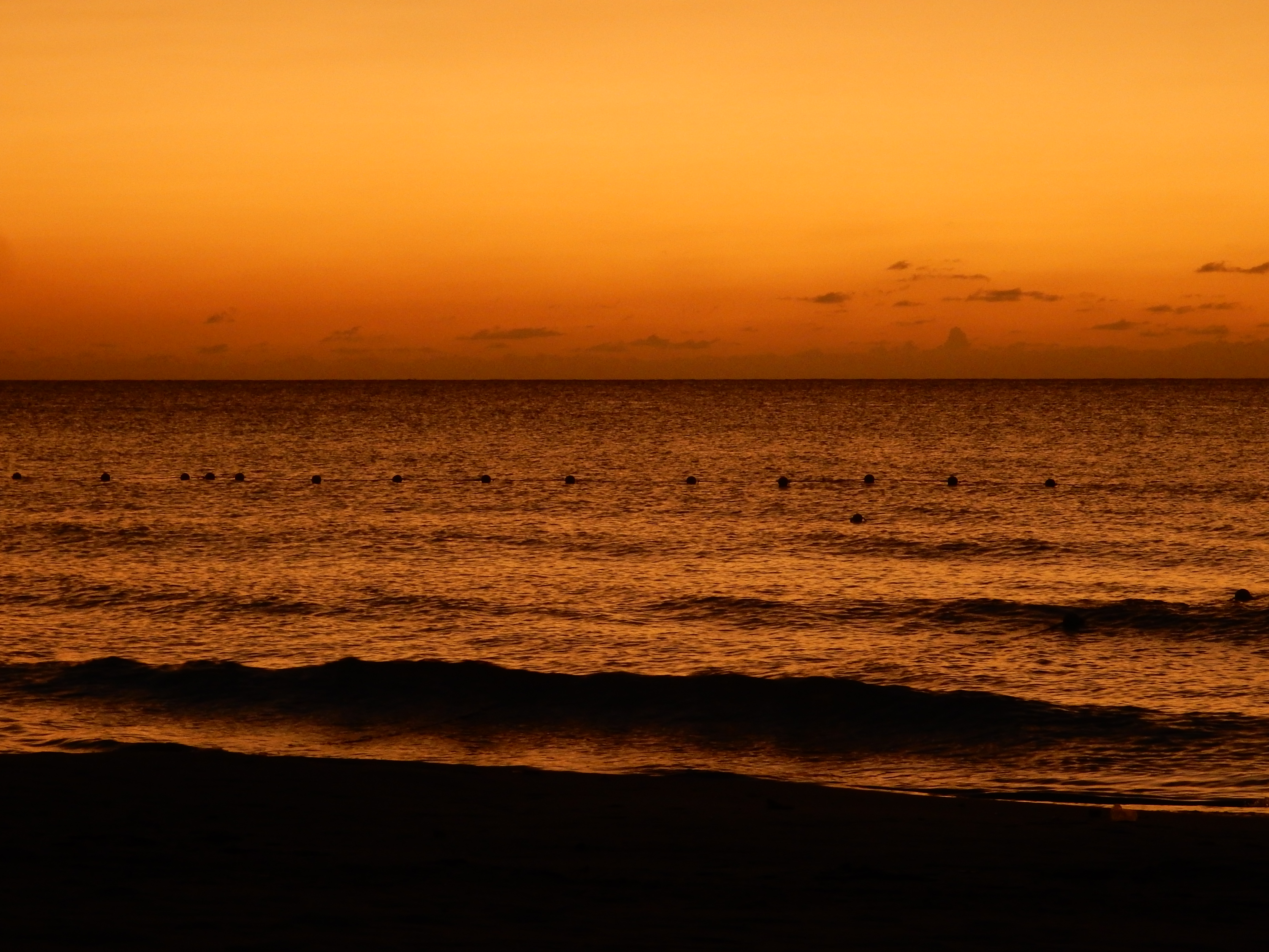 Name:  DSCN8525.JPG
Views: 237
Size:  3.41 MB