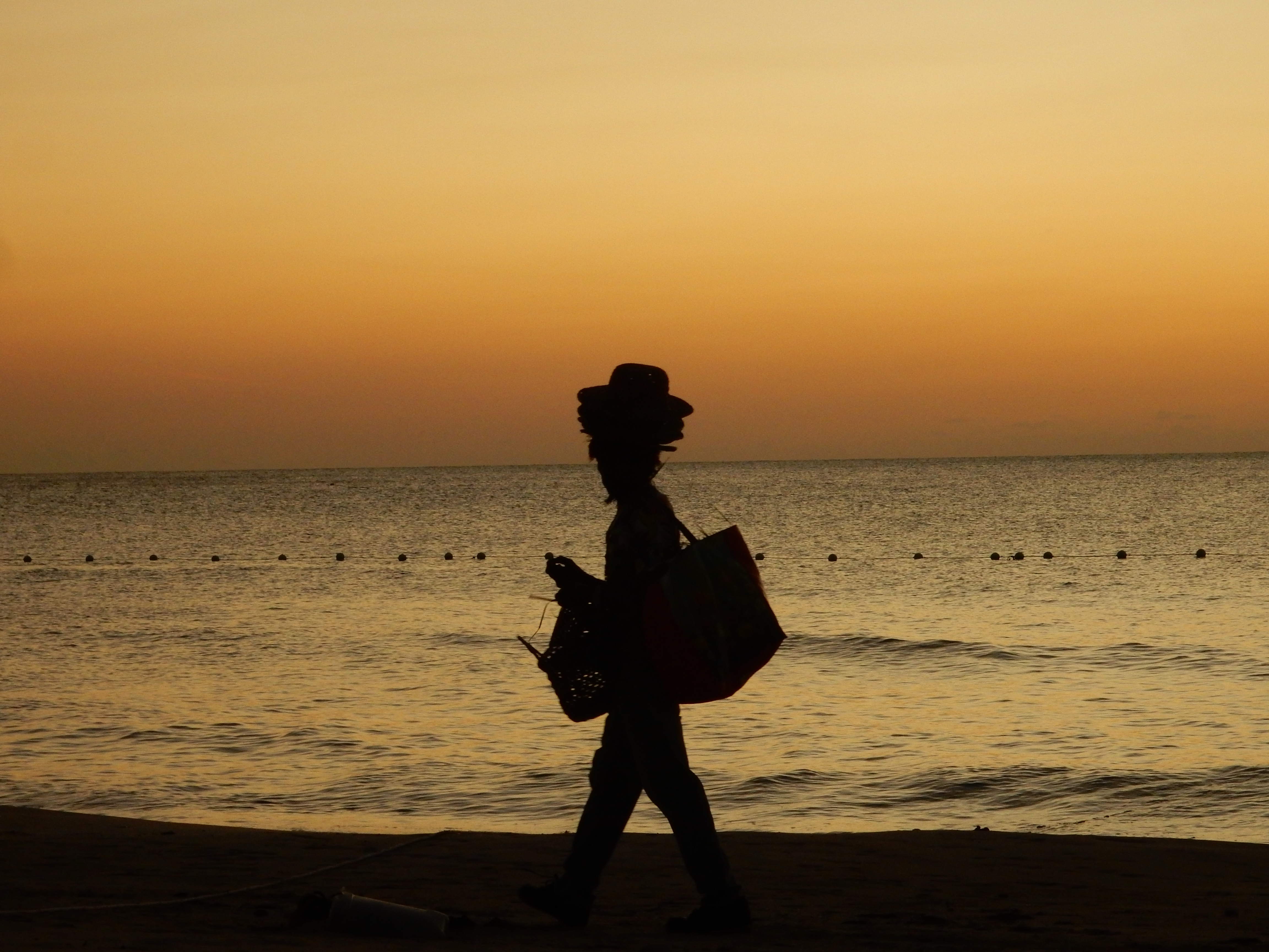 Name:  DSCN8512.JPG
Views: 220
Size:  3.30 MB