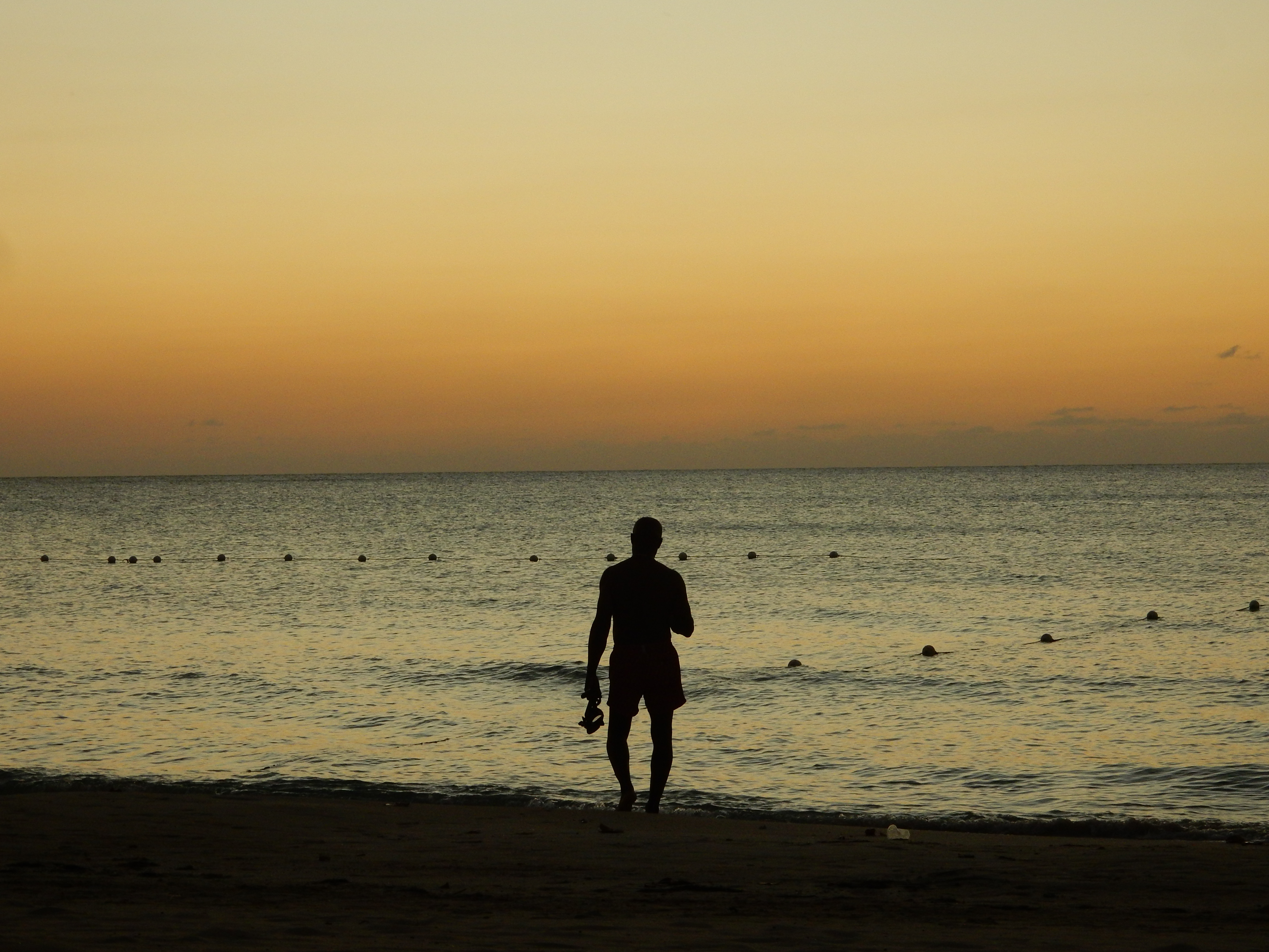 Name:  DSCN8502.JPG
Views: 221
Size:  3.30 MB