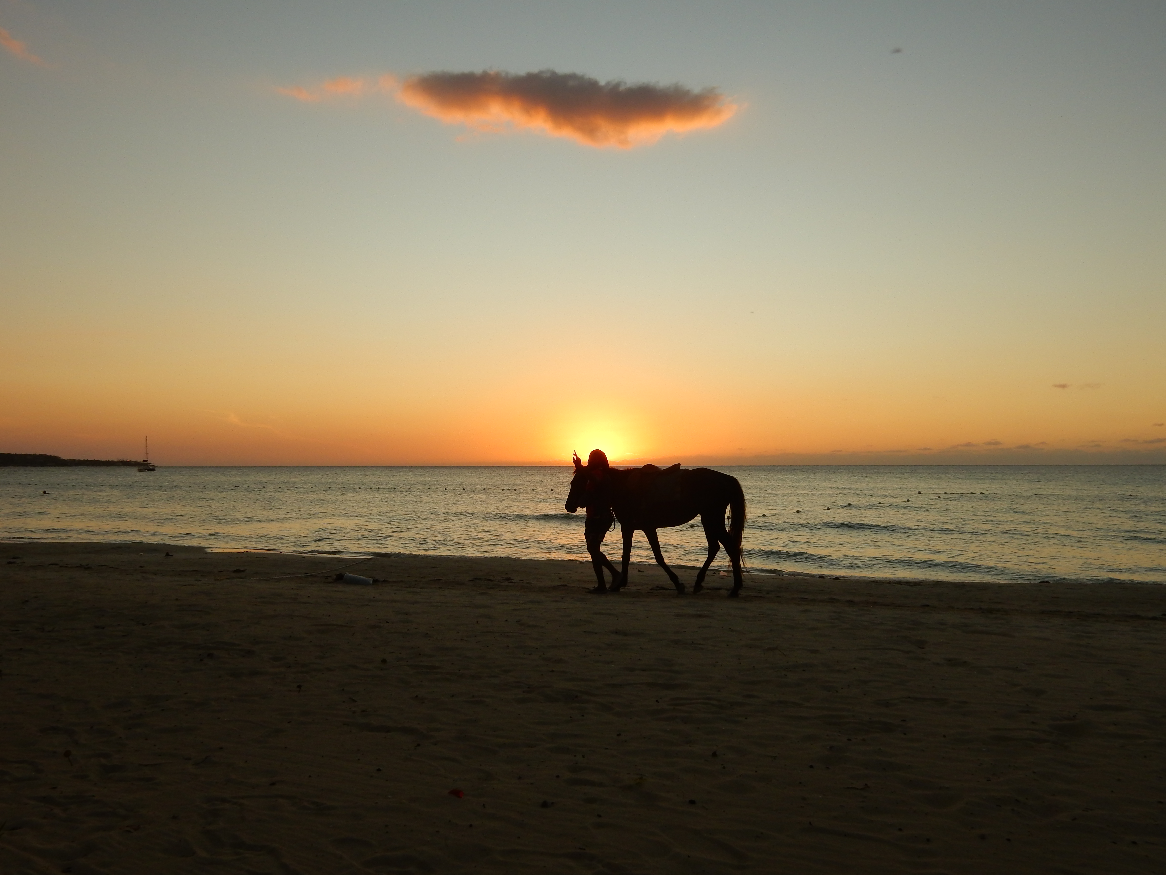 Name:  DSCN8490.JPG
Views: 219
Size:  3.39 MB