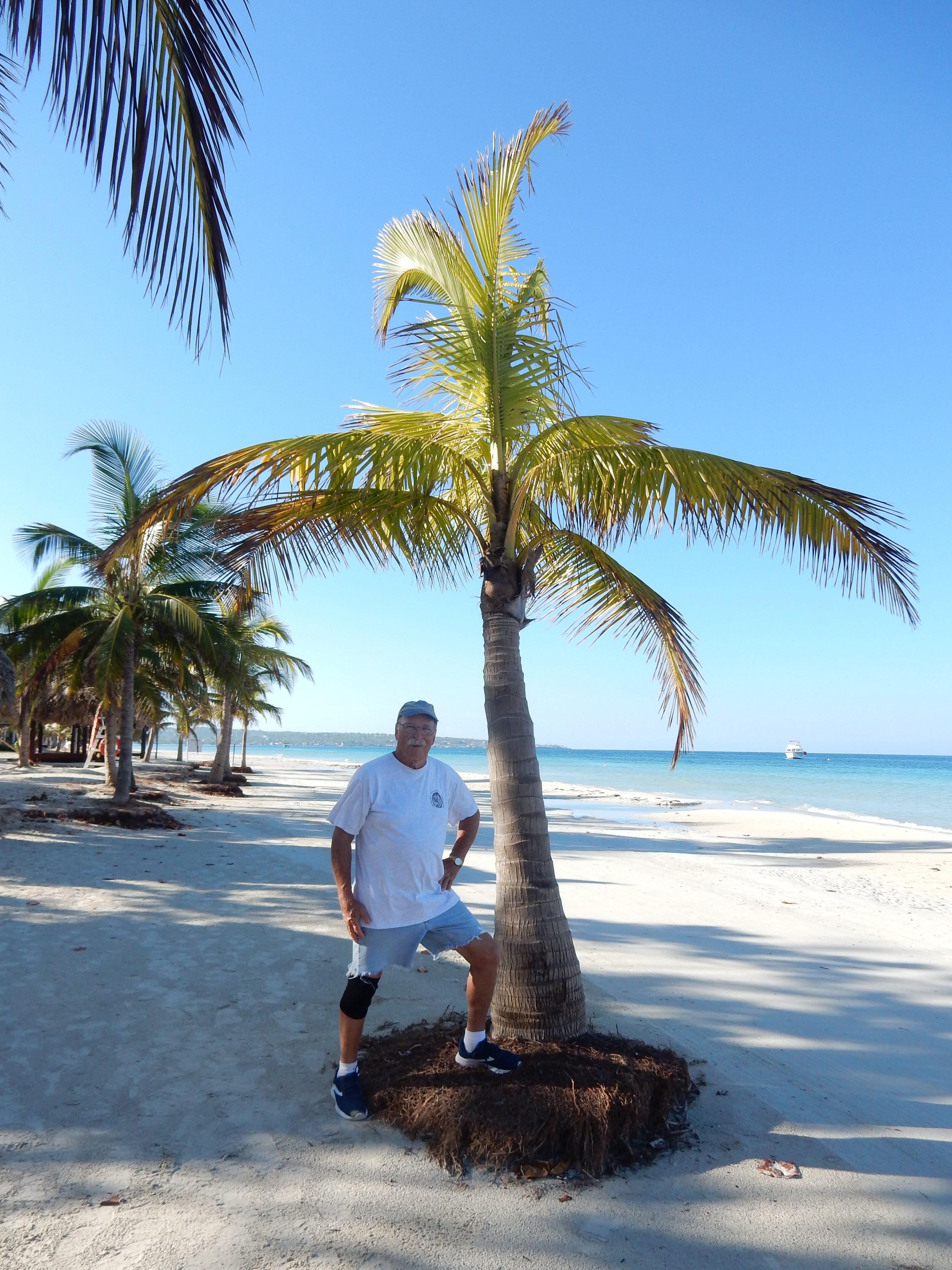 Name:  DSCN8556.JPG
Views: 288
Size:  2.92 MB