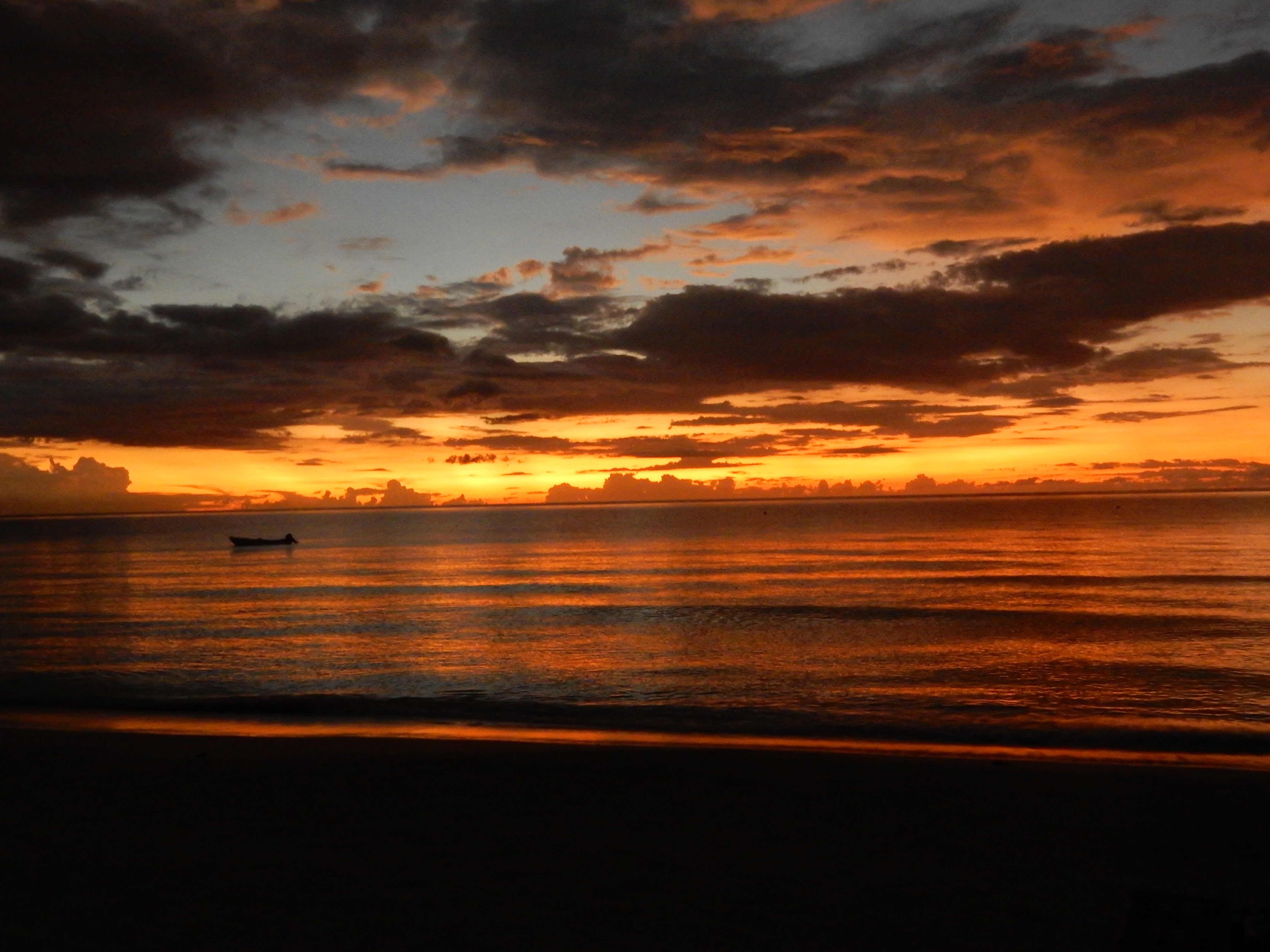 Name:  DSCN8608.JPG
Views: 264
Size:  3.29 MB