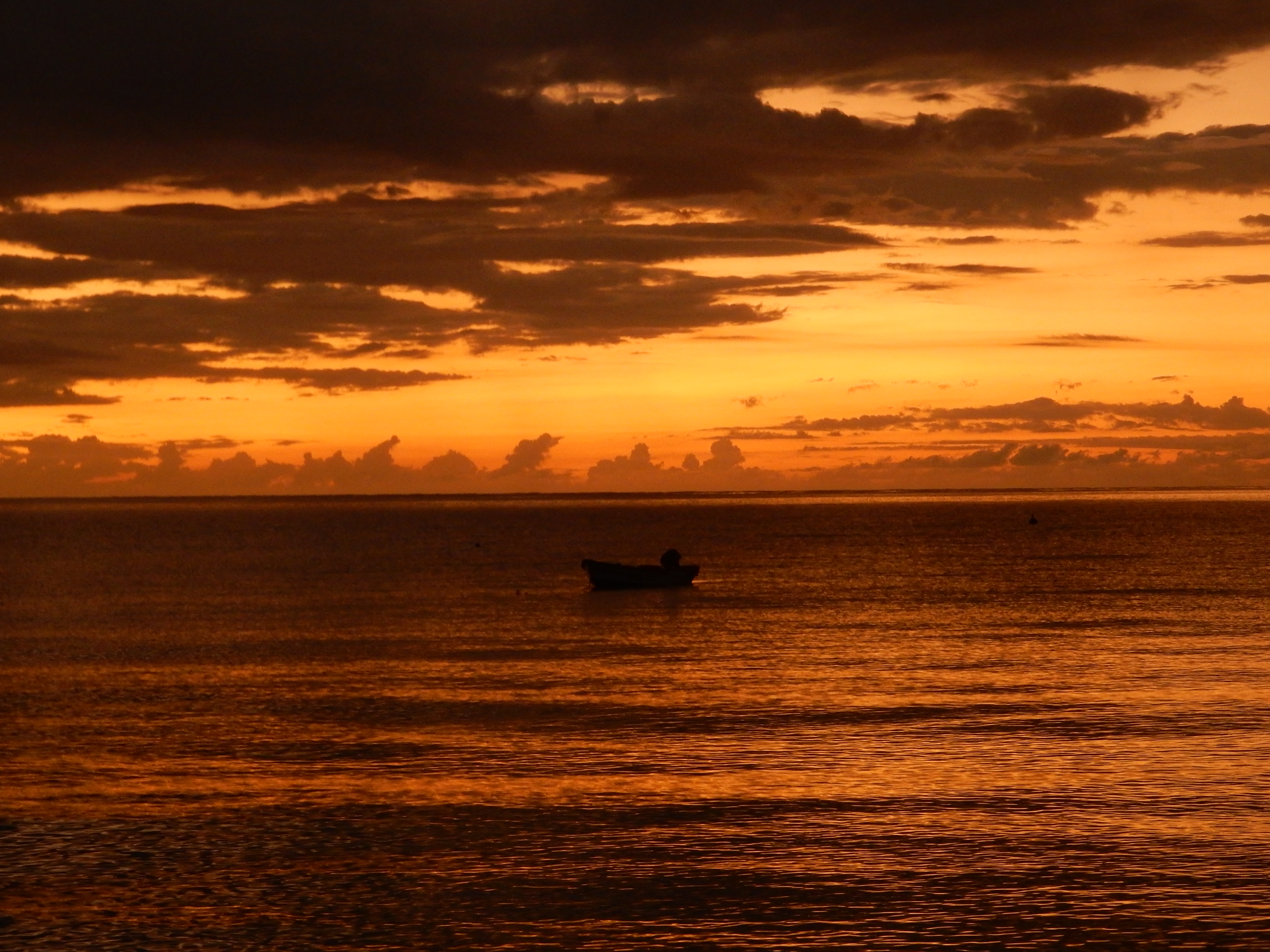 Name:  DSCN8602.JPG
Views: 252
Size:  3.10 MB