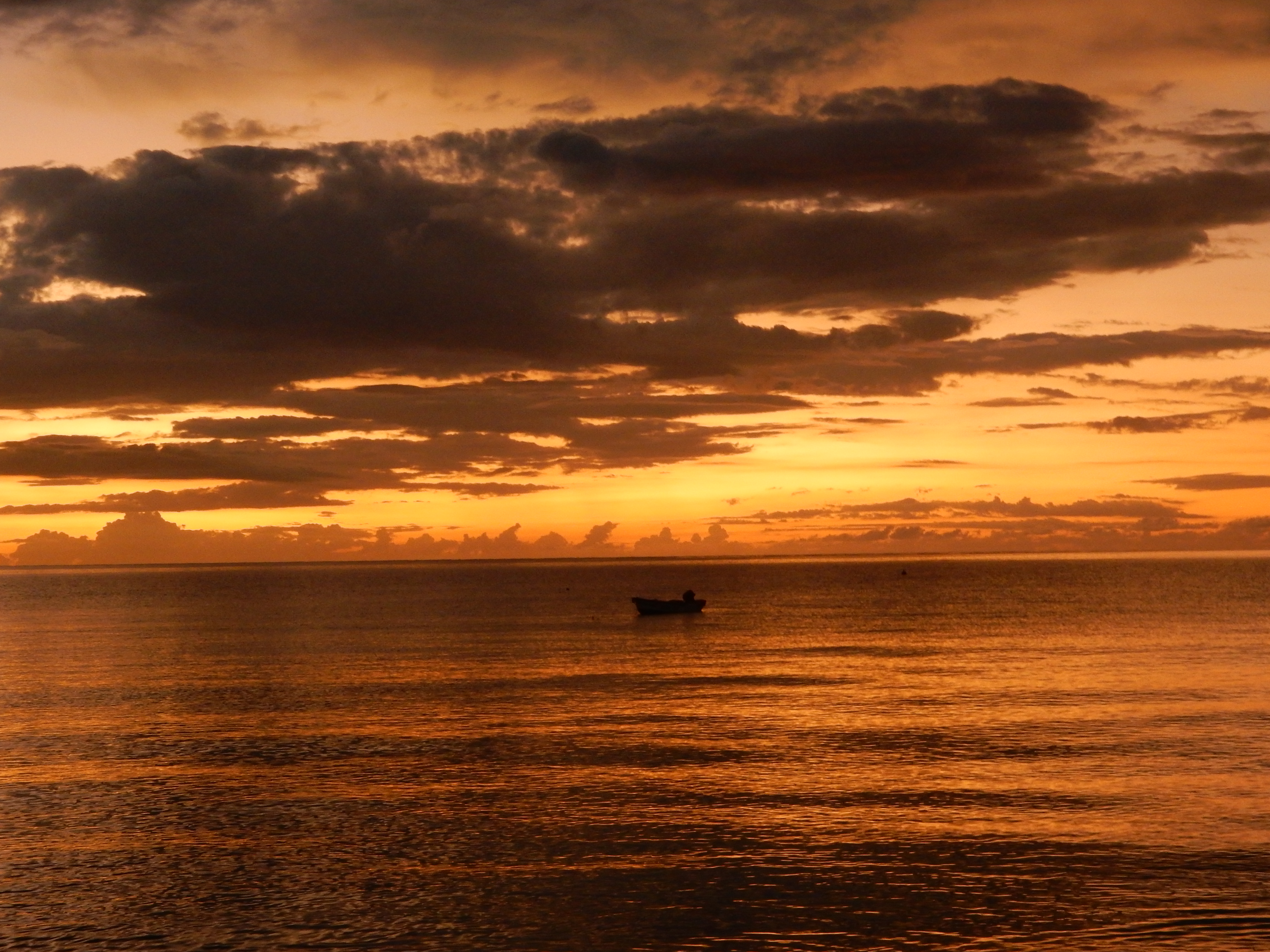 Name:  DSCN8601.JPG
Views: 252
Size:  3.09 MB