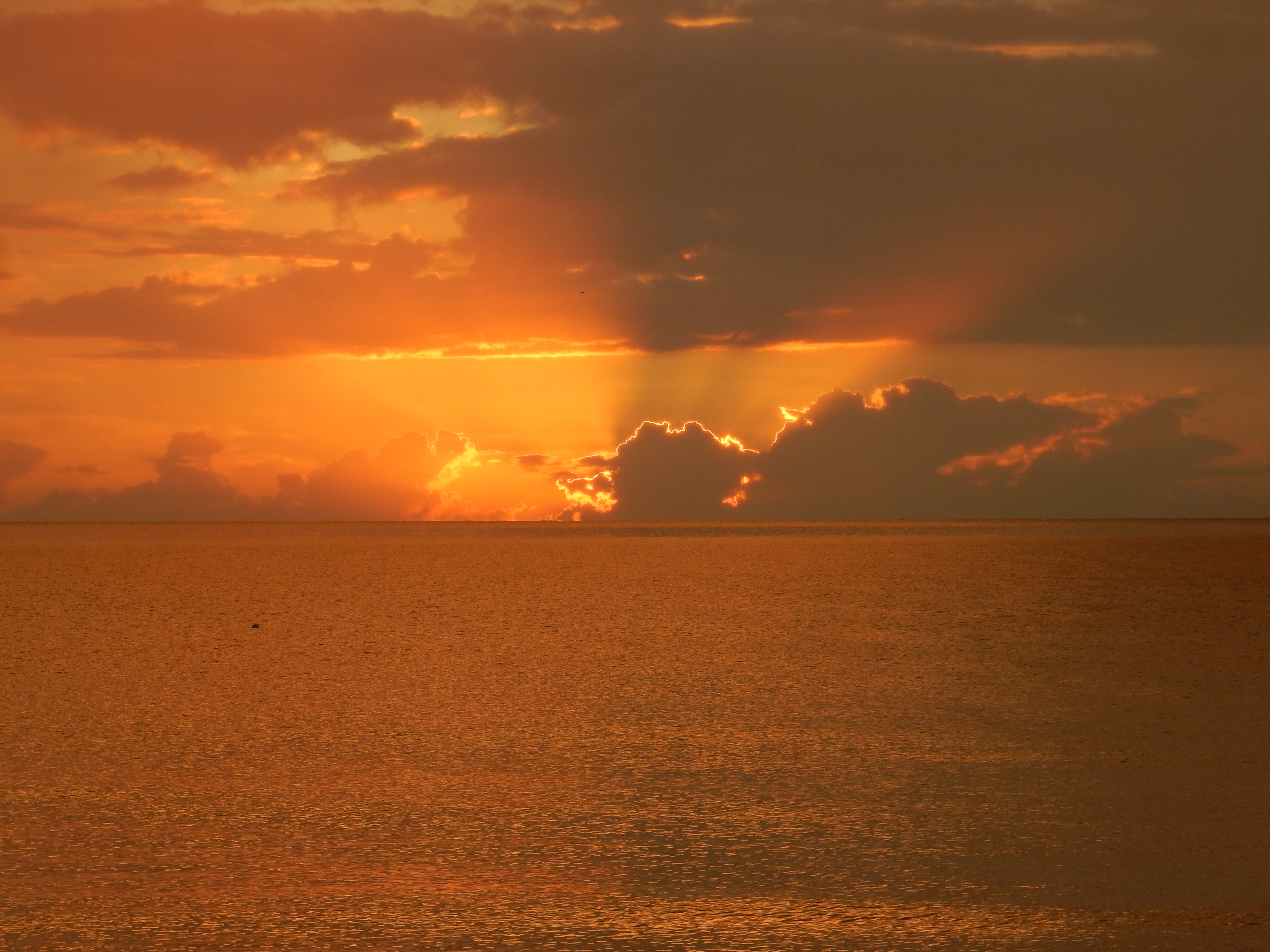 Name:  DSCN8581.JPG
Views: 251
Size:  3.10 MB