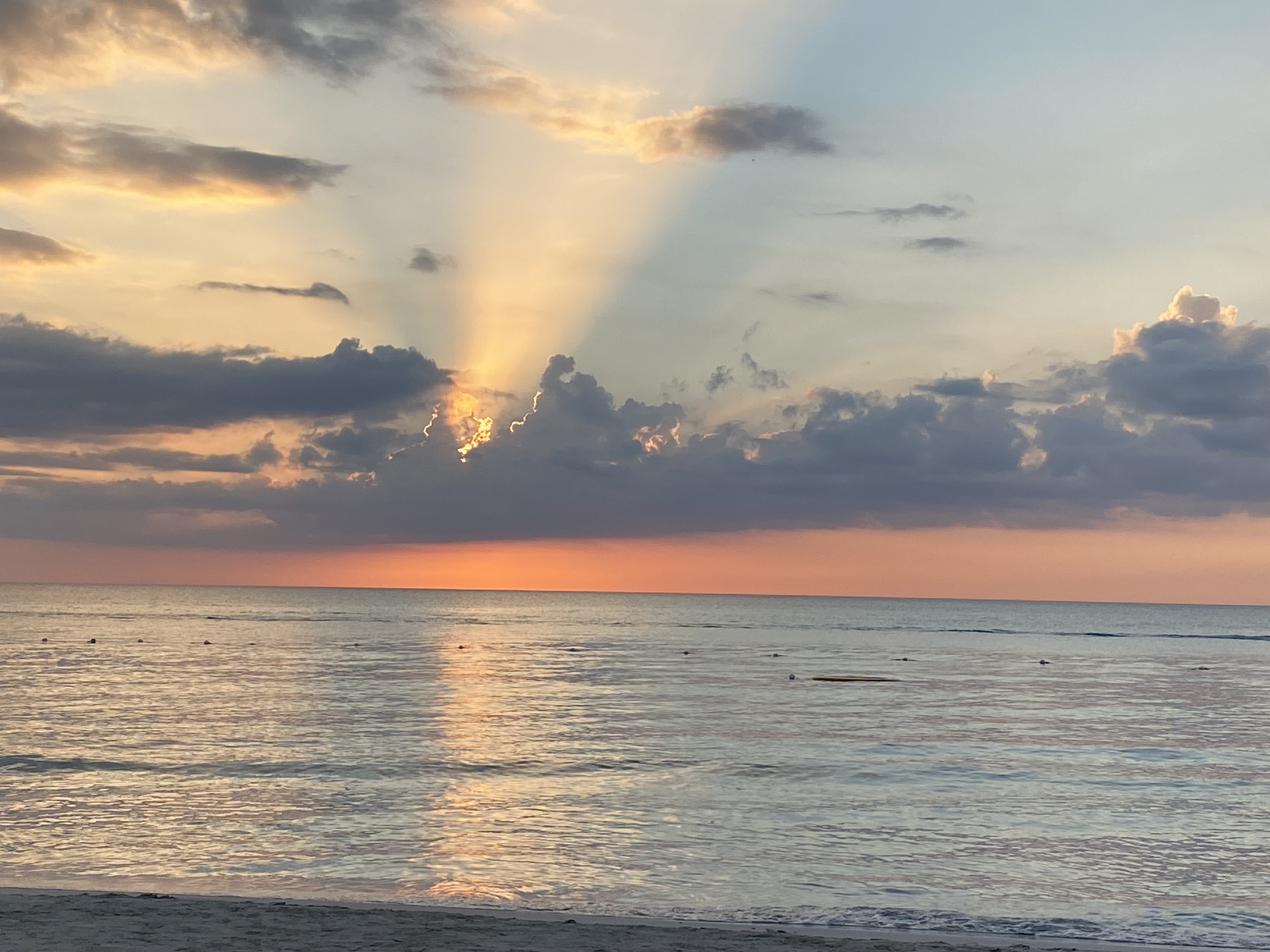 Name:  IMG_4453.jpeg
Views: 81
Size:  1.58 MB