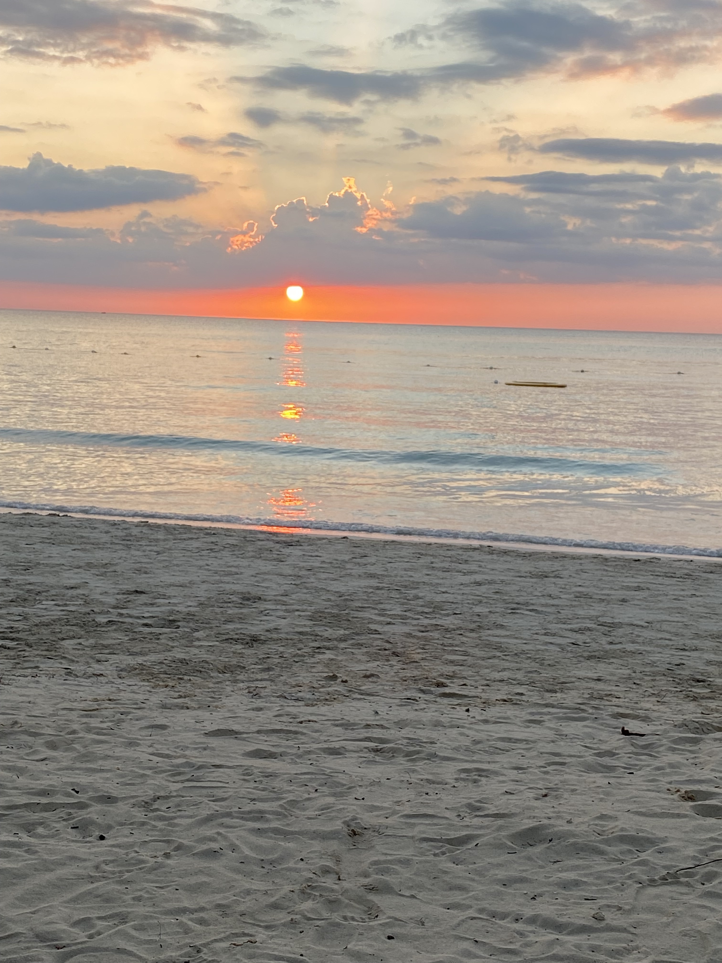 Name:  IMG_4456.jpeg
Views: 79
Size:  1.84 MB