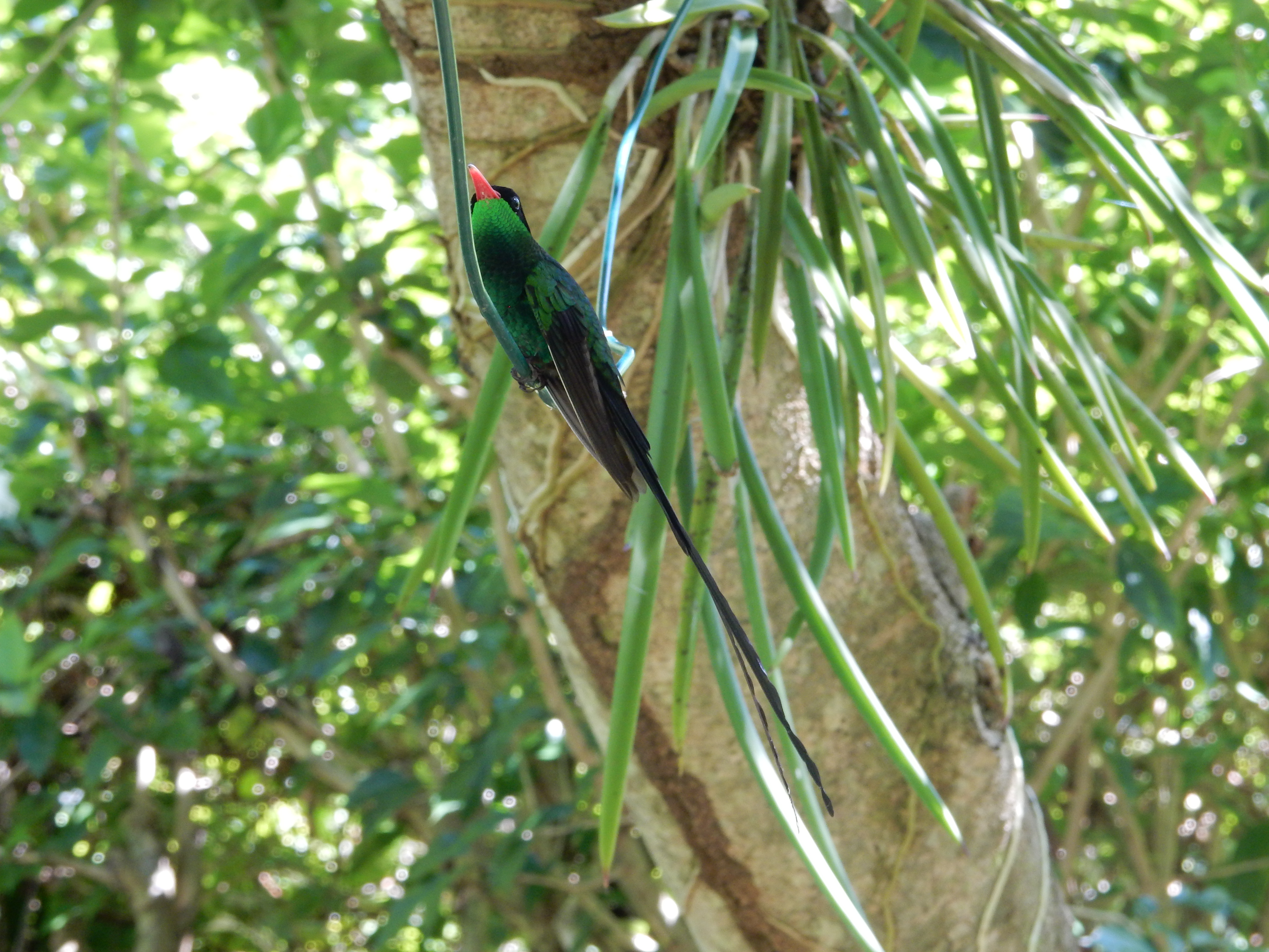 Name:  DSCN8716.JPG
Views: 318
Size:  3.47 MB