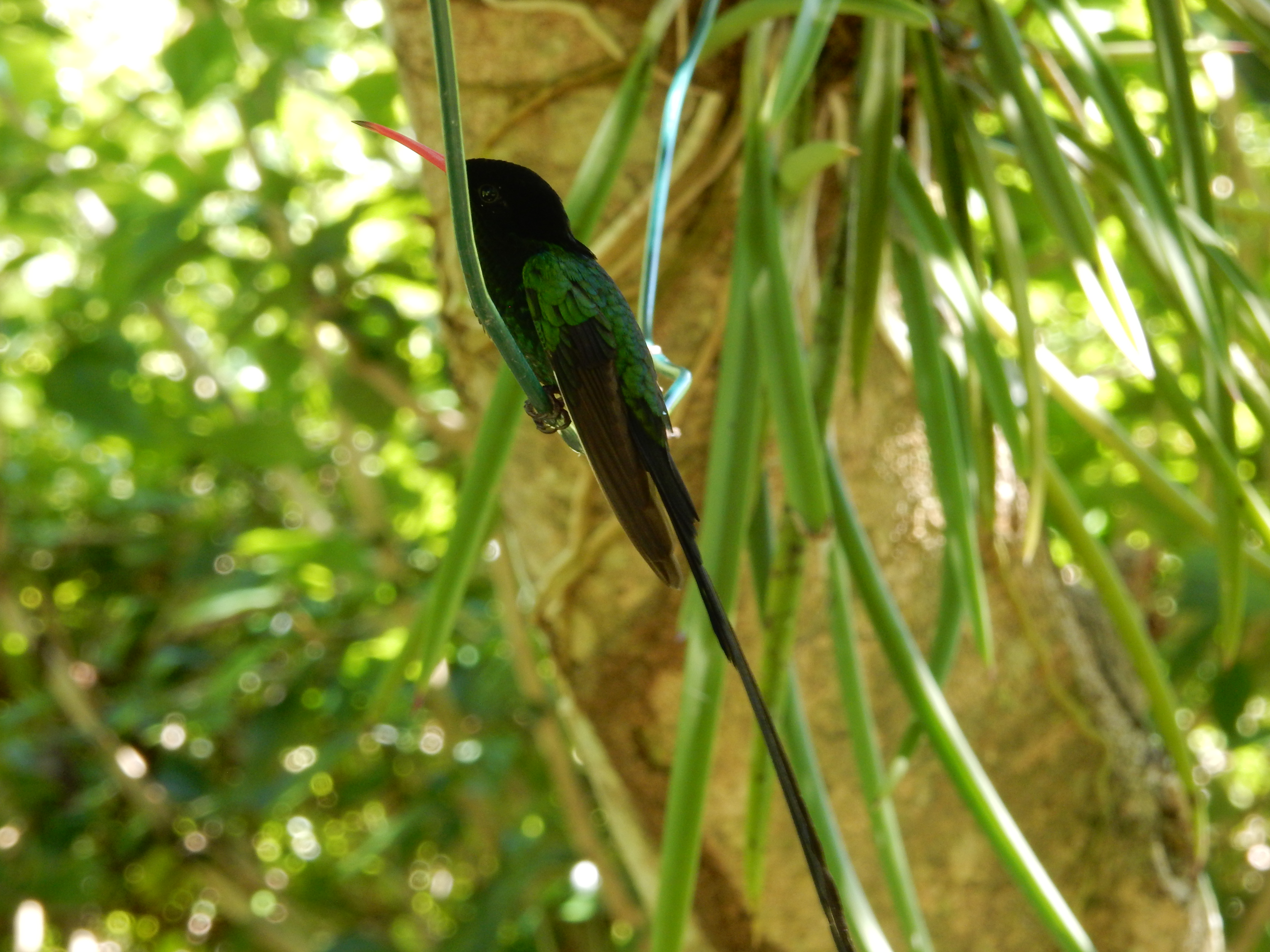 Name:  DSCN8715.JPG
Views: 314
Size:  3.35 MB