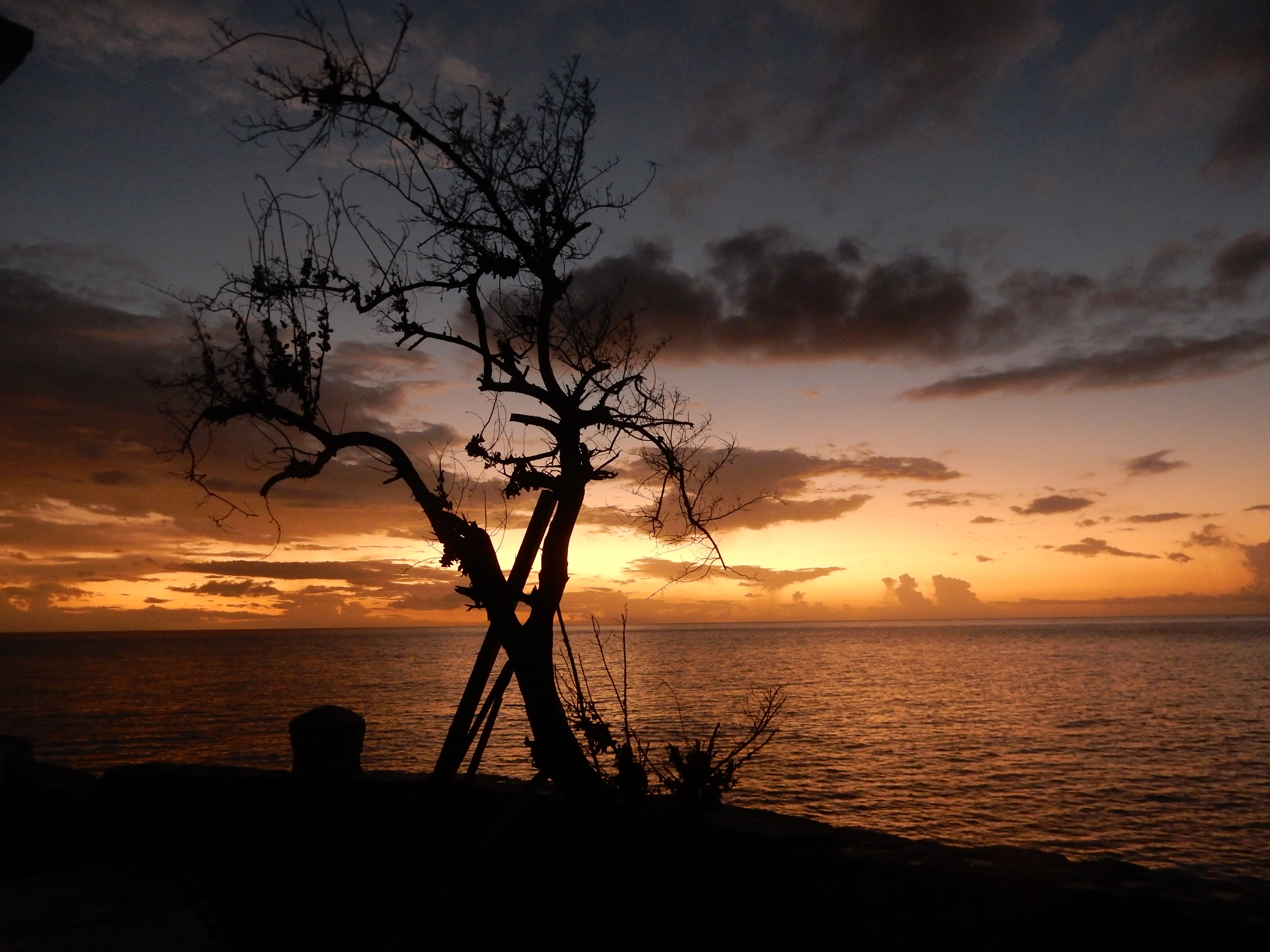 Name:  DSCN8798.JPG
Views: 125
Size:  3.41 MB