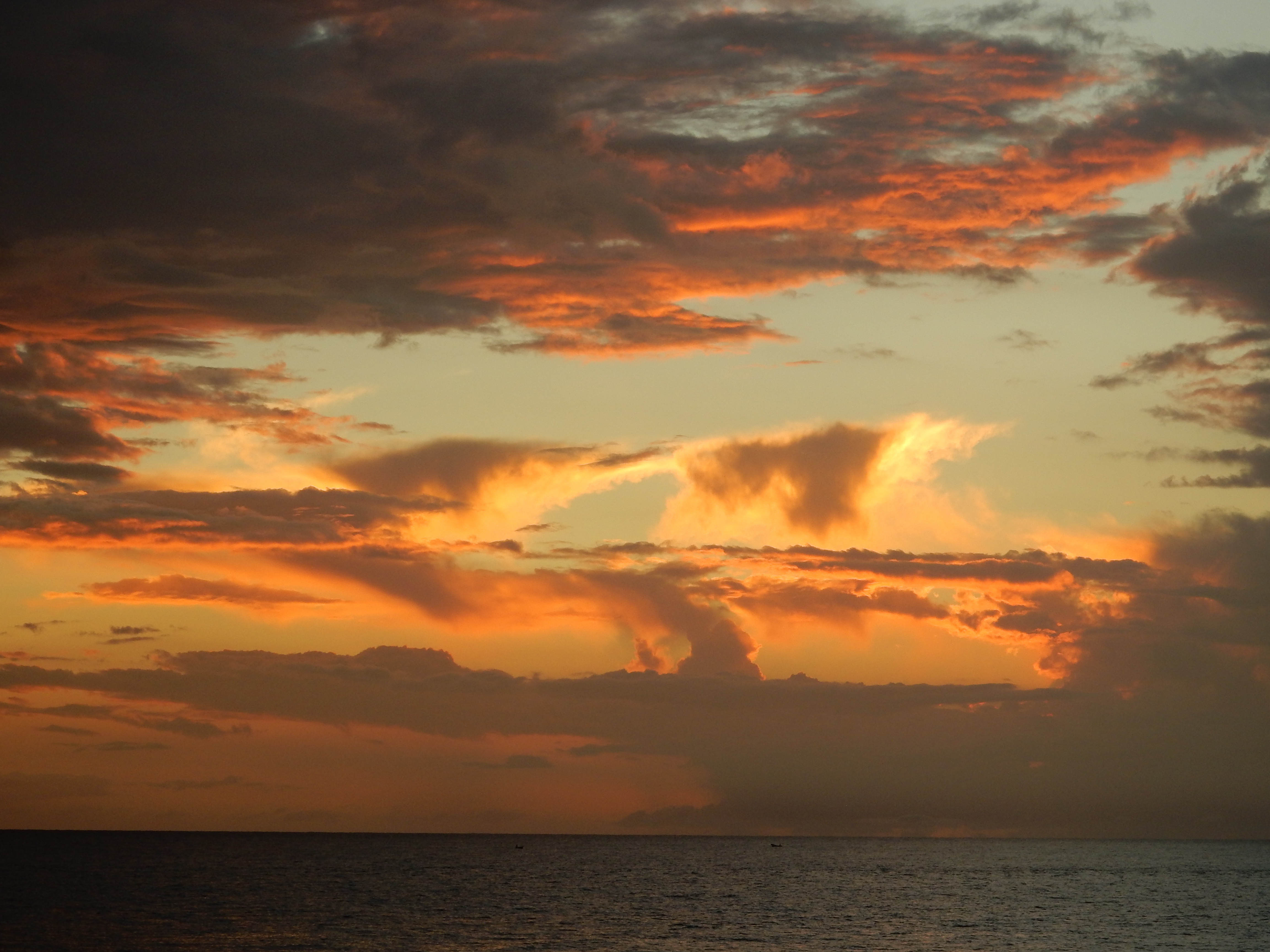 Name:  DSCN8793.JPG
Views: 126
Size:  3.26 MB