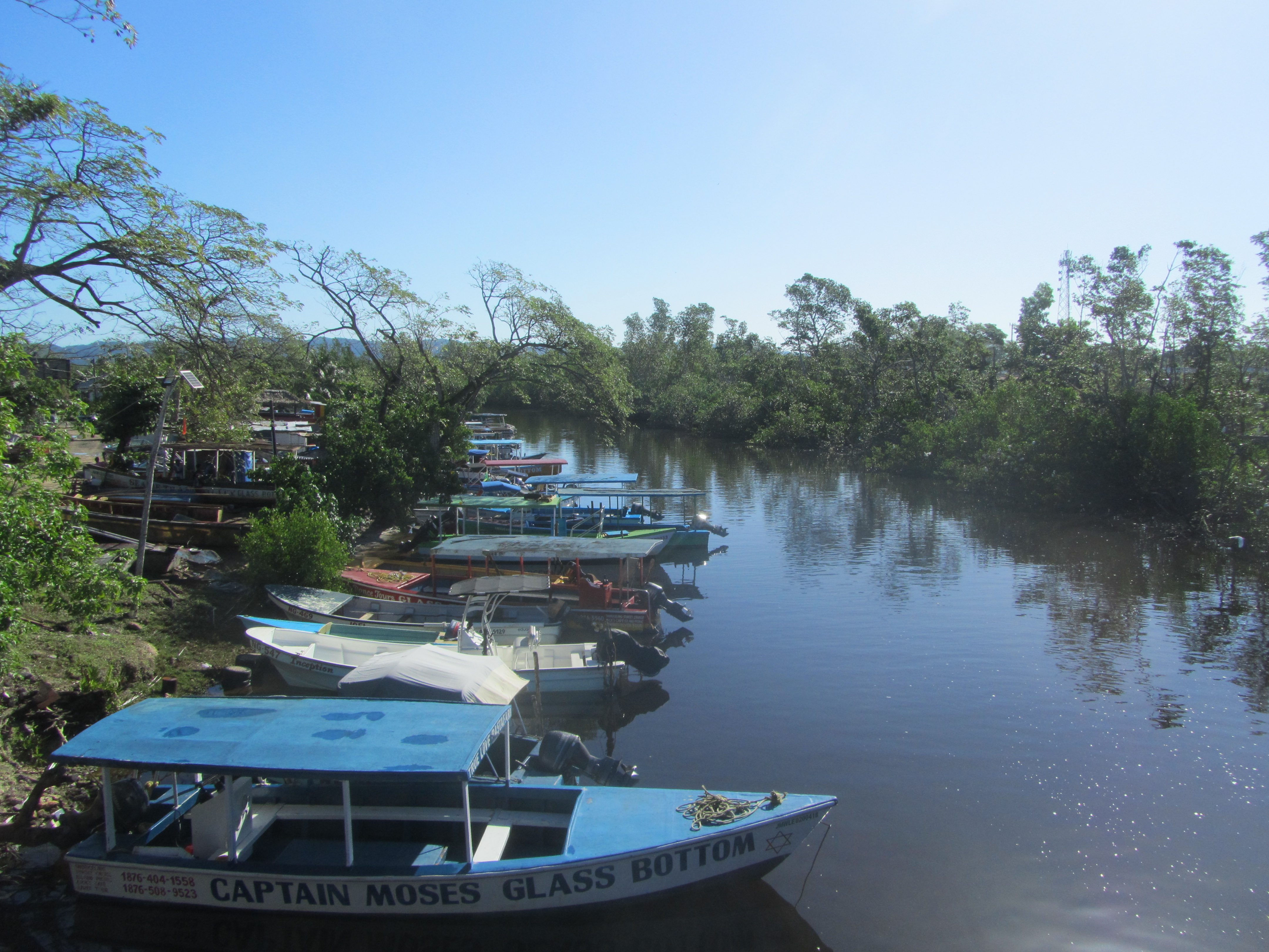 Name:  IMG_8952.JPG
Views: 255
Size:  3.12 MB