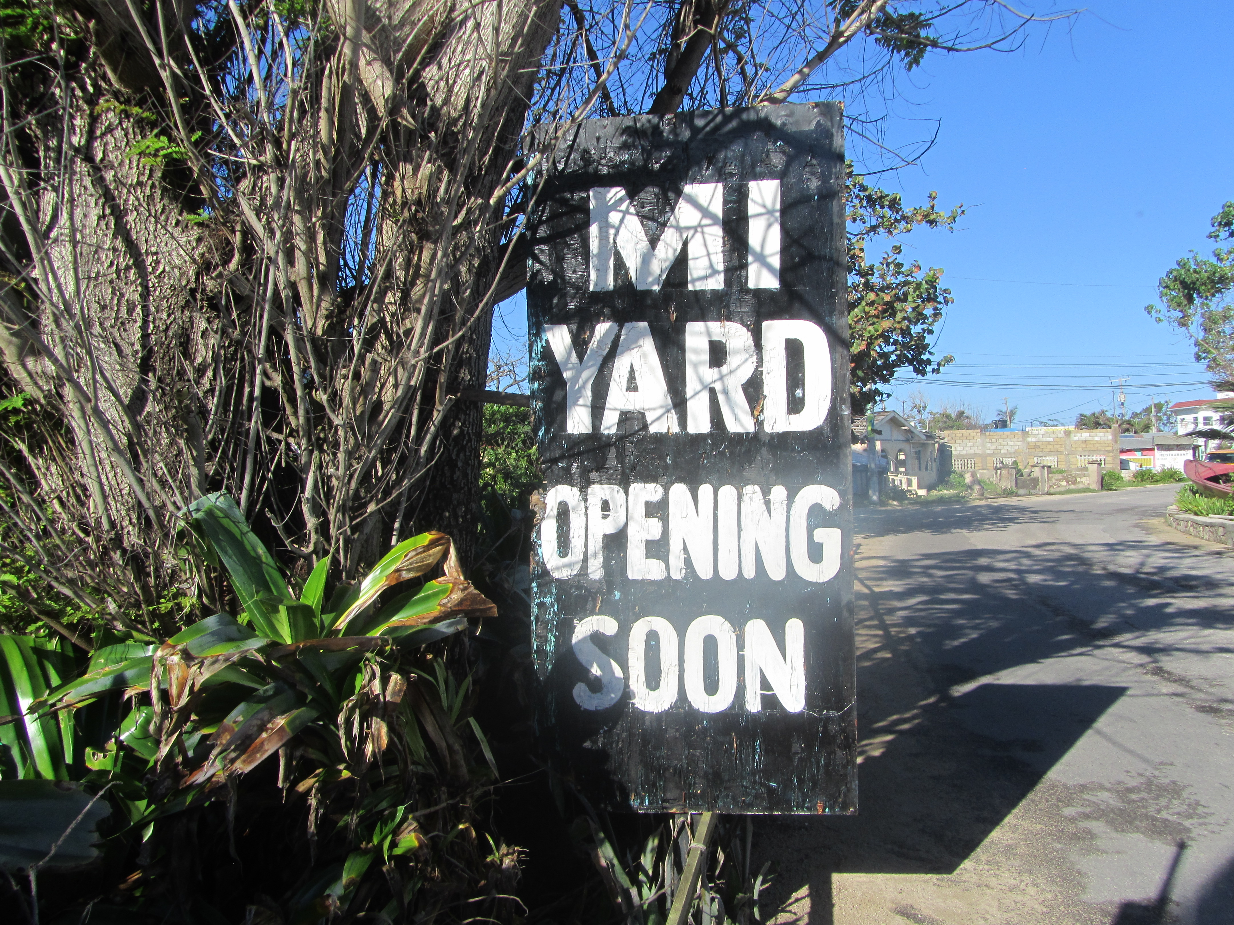 Name:  IMG_8950.JPG
Views: 258
Size:  4.25 MB