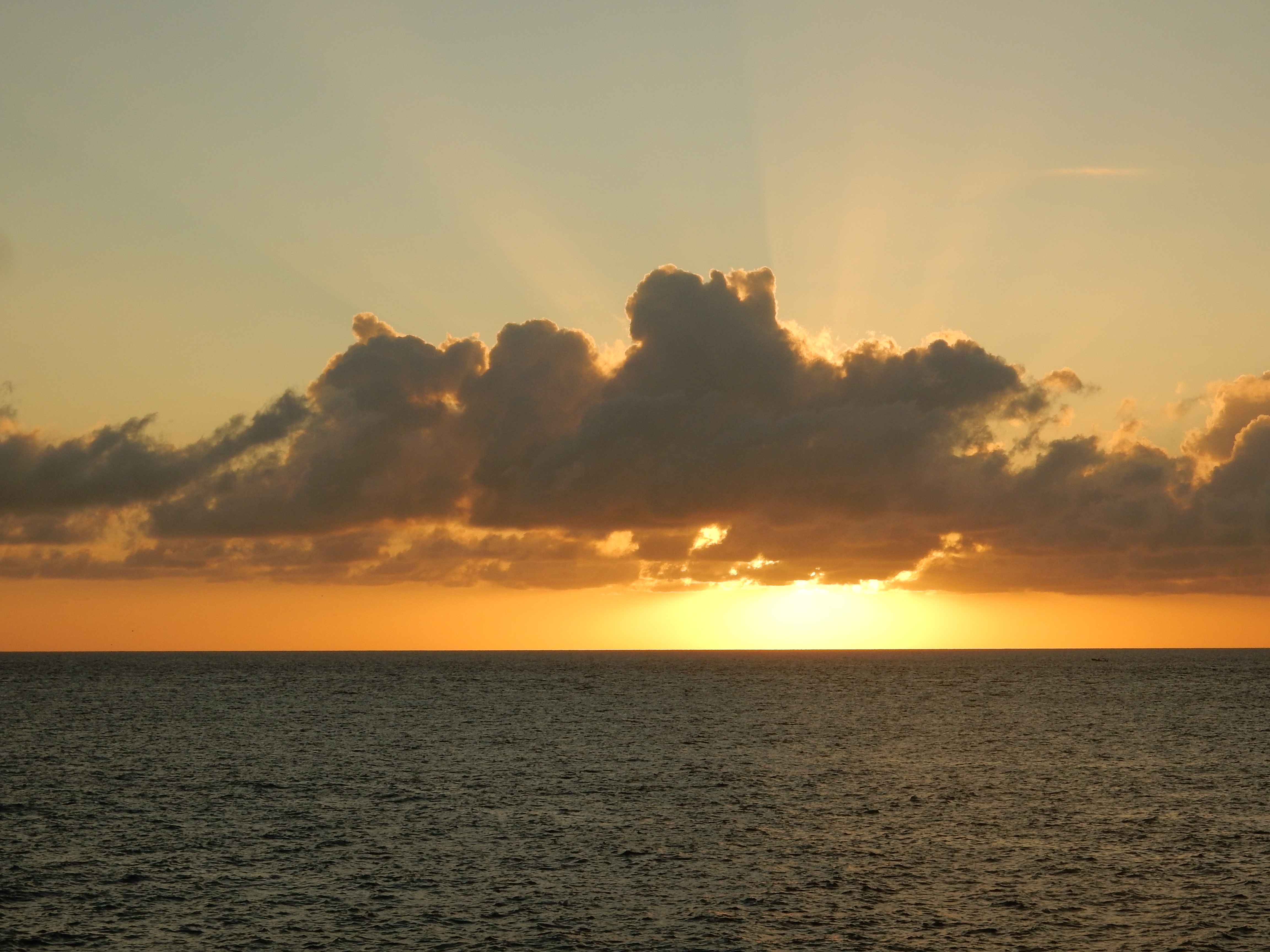 Name:  DSCN8805.JPG
Views: 192
Size:  3.09 MB