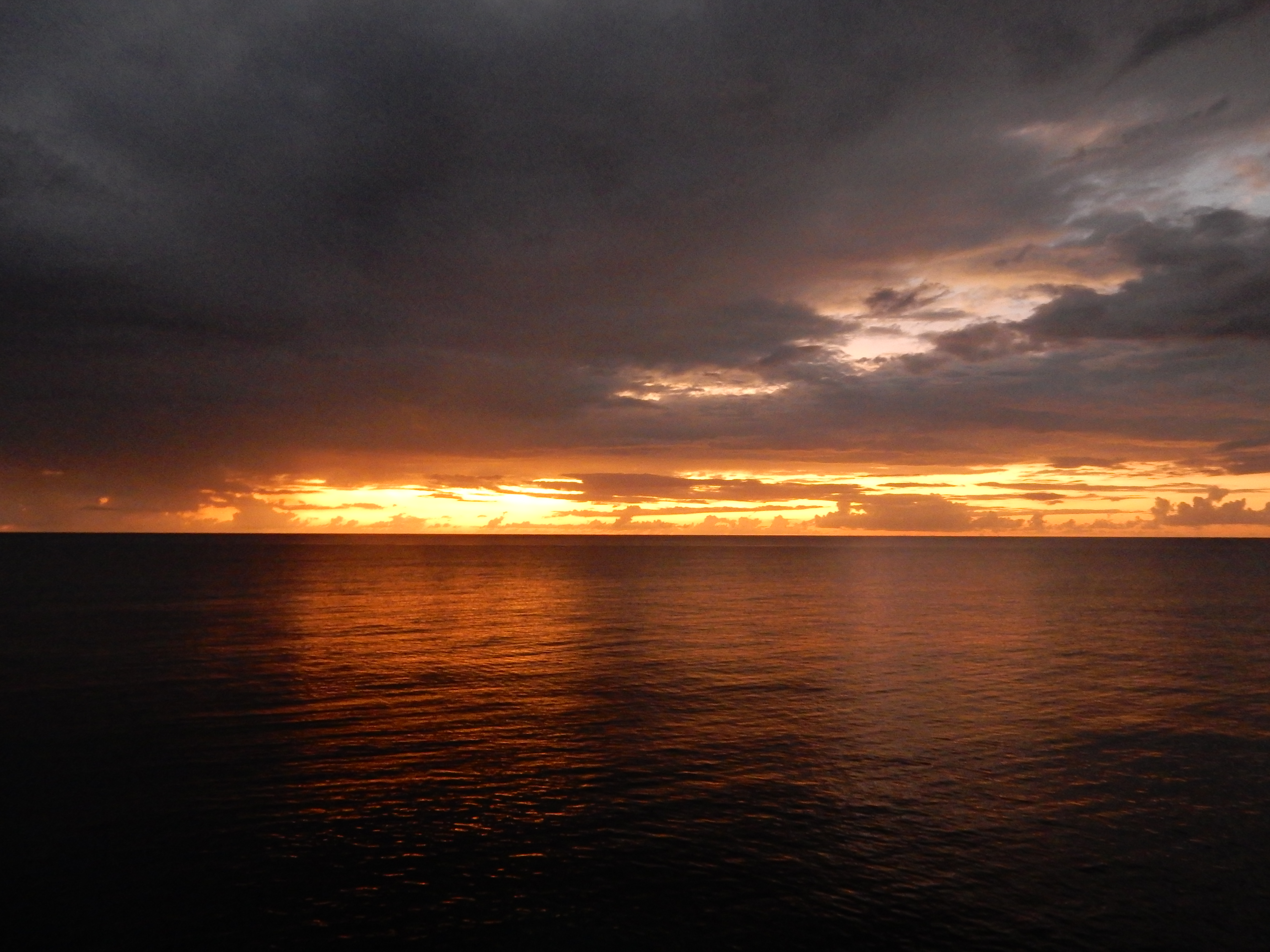 Name:  DSCN8868.JPG
Views: 125
Size:  3.26 MB