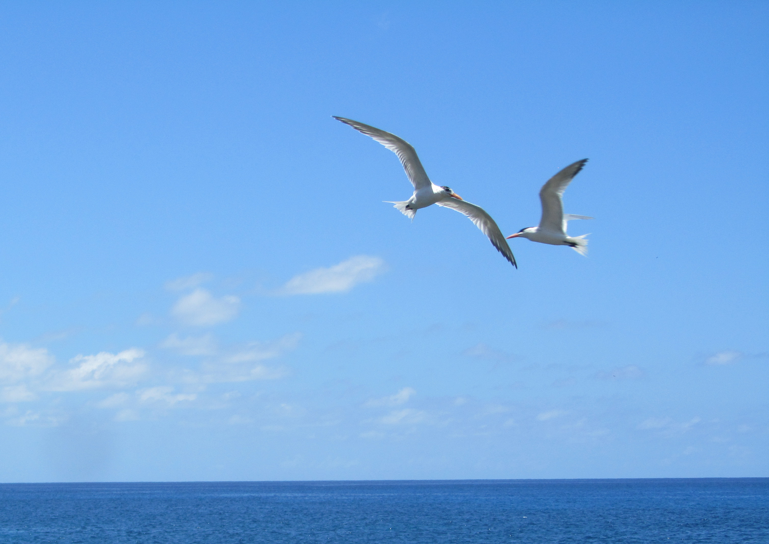 Name:  IMG_8969.JPG
Views: 124
Size:  3.53 MB