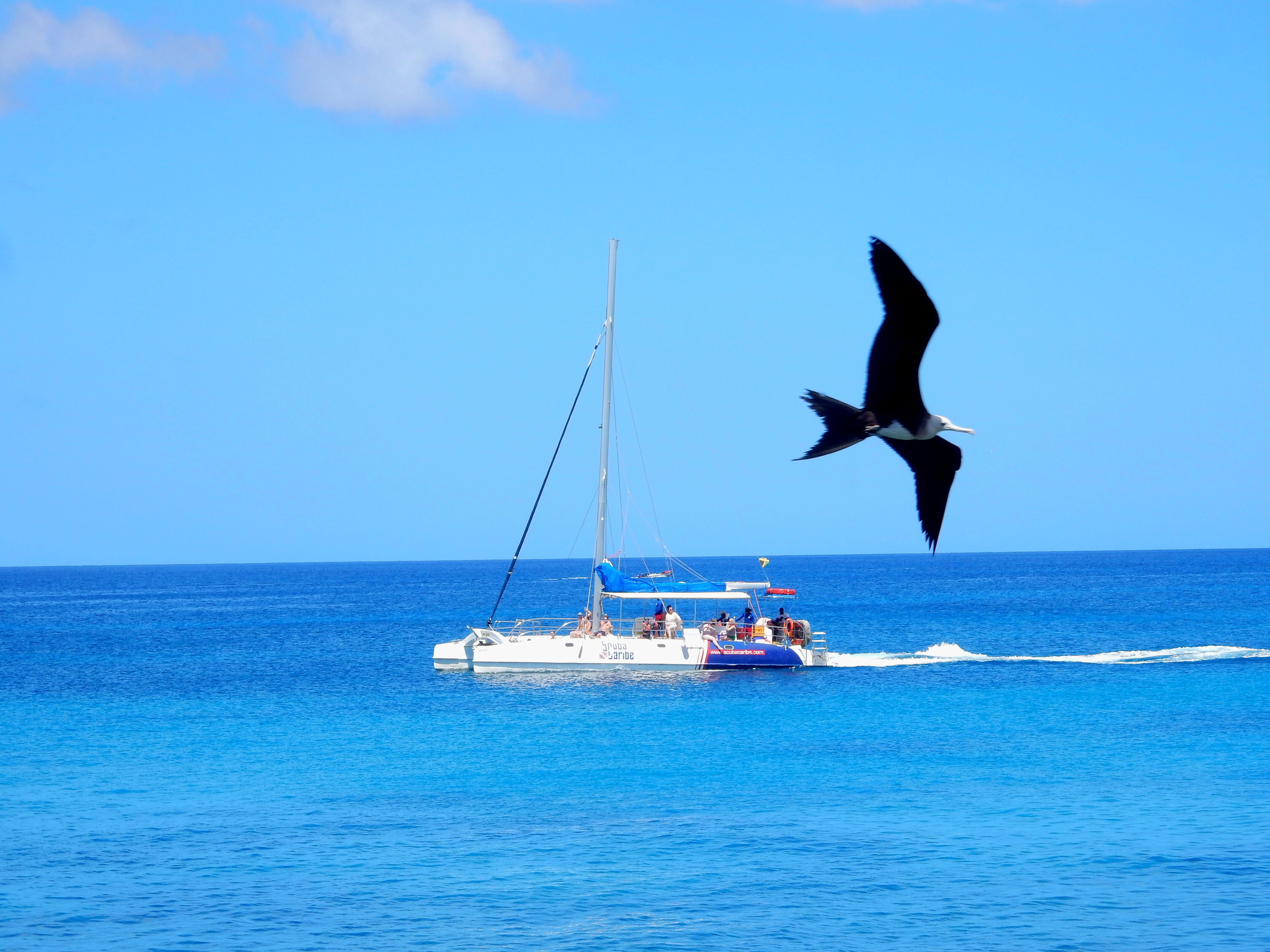 Name:  DSCN8927.jpg
Views: 100
Size:  1.45 MB