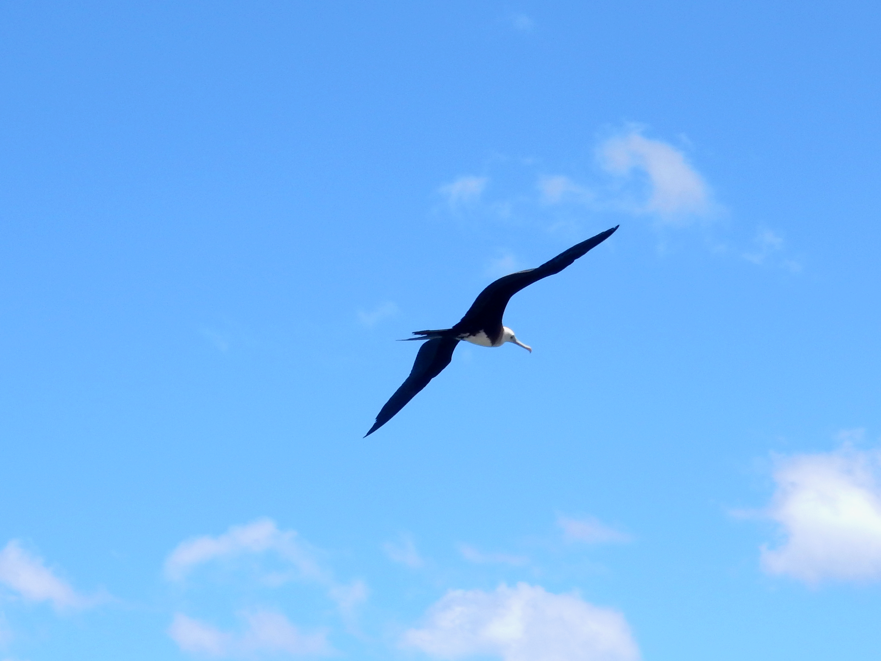 Name:  DSCN8924.JPG
Views: 100
Size:  3.87 MB