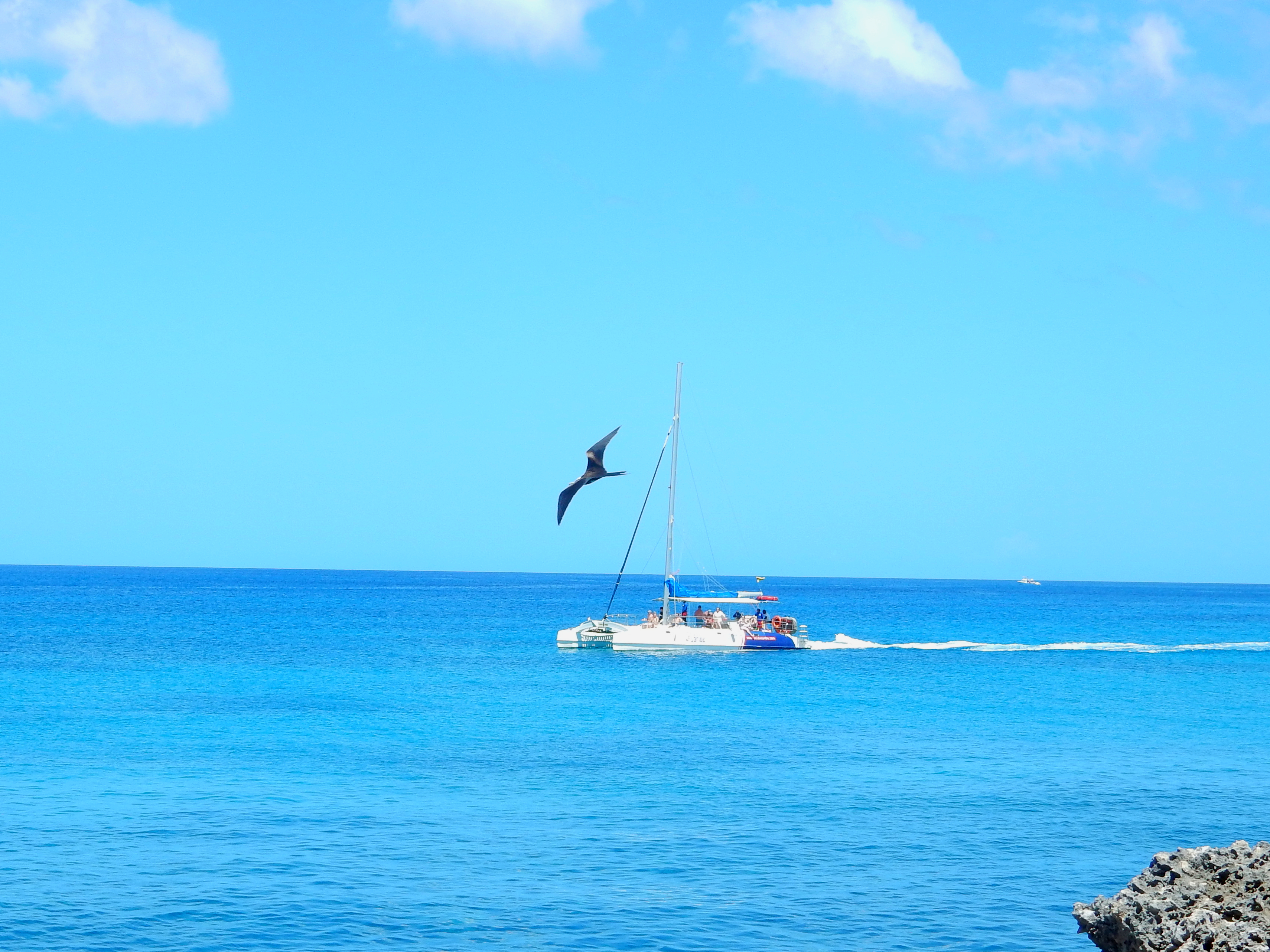 Name:  DSCN8925.JPG
Views: 102
Size:  7.86 MB