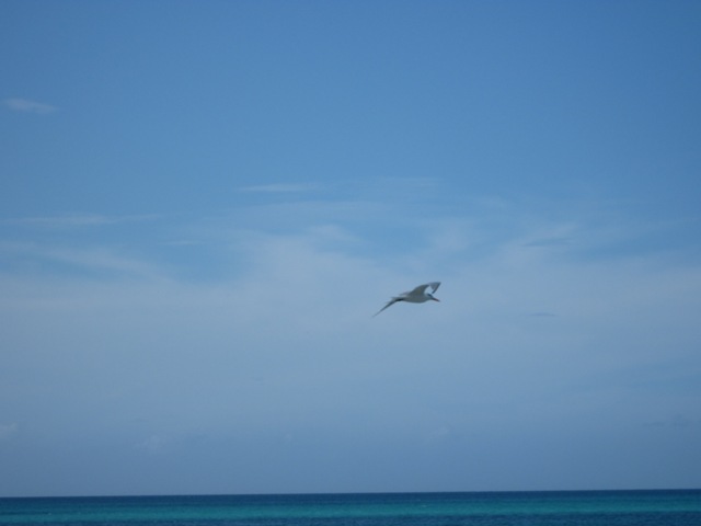 Name:  148.JPG
Views: 1403
Size:  36.7 KB
