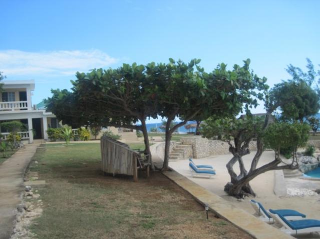 Name:  029.jpg
Views: 237
Size:  41.3 KB