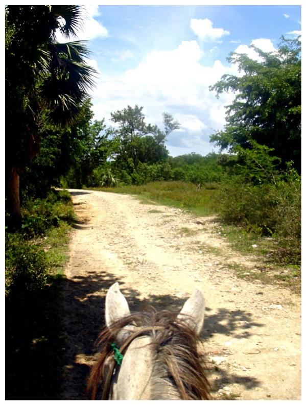 Name:  Horseback Riding 5.jpg
Views: 984
Size:  85.3 KB