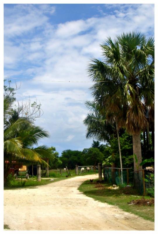 Name:  Horseback Riding 91.jpg
Views: 980
Size:  67.4 KB