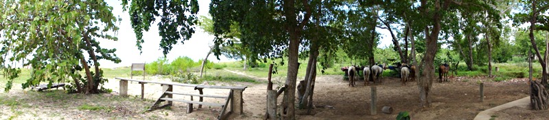 Name:  horseback riding 17.JPG
Views: 984
Size:  93.1 KB
