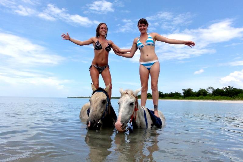 Name:  horseback riding 13.jpg
Views: 960
Size:  55.0 KB