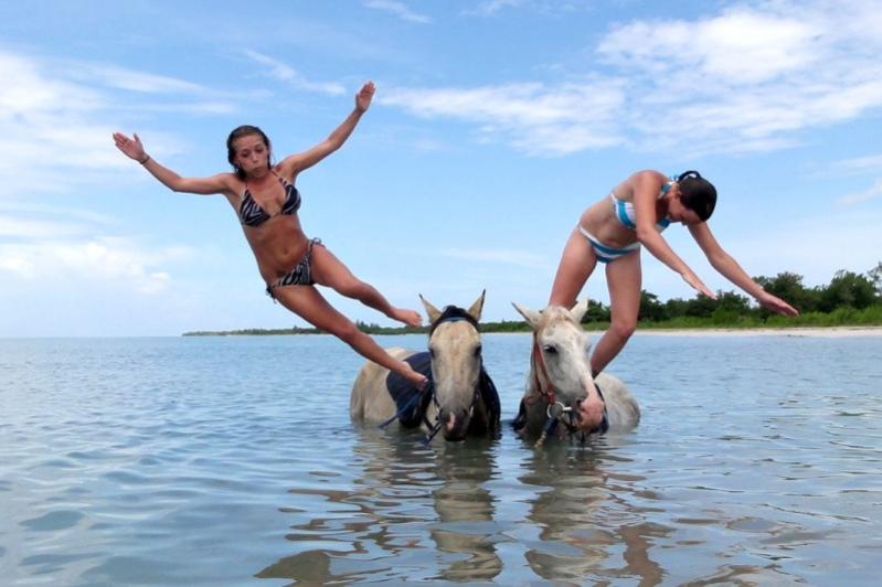 Name:  horseback riding 15.jpg
Views: 971
Size:  51.2 KB