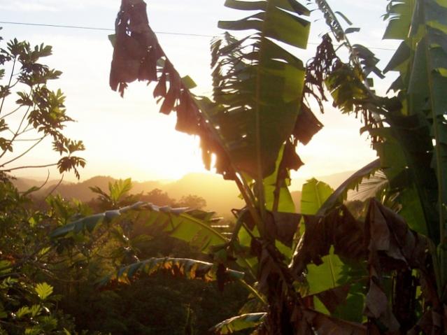 Name:  11-25sunrise 005 (640x480).jpg
Views: 308
Size:  46.9 KB