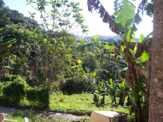 Name:  aaViewFromVerandahLeft.jpg
Views: 290
Size:  82.9 KB