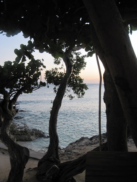 Name:  029.JPG
Views: 438
Size:  97.2 KB