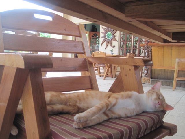 Name:  019.JPG
Views: 434
Size:  90.7 KB
