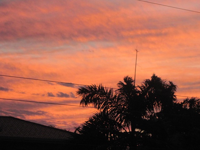 Name:  041.JPG
Views: 401
Size:  79.9 KB
