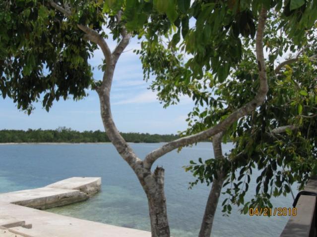 Name:  IMG_2981.jpg
Views: 497
Size:  55.5 KB