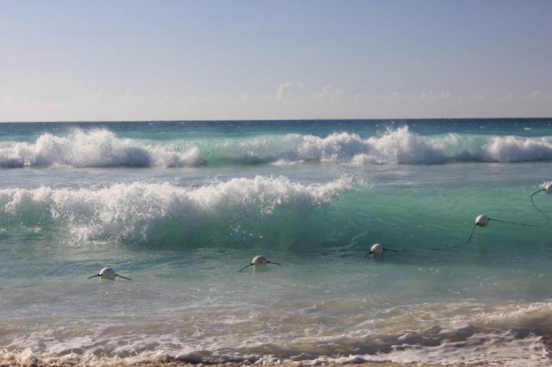 Name:  negril 28,2011 078 (800x533).jpg
Views: 802
Size:  45.5 KB