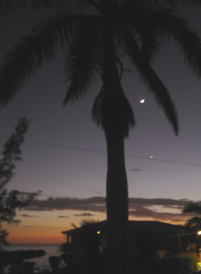 Name: 028.JPG
Views: 565
Size: 38.5 KB