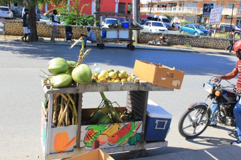 Name:  negril 28,2011 042 (800x533).jpg
Views: 776
Size:  83.9 KB
