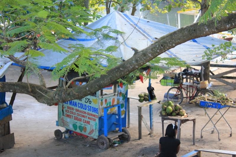 Name:  negril 28,2011 050 (800x533).jpg
Views: 791
Size:  85.7 KB