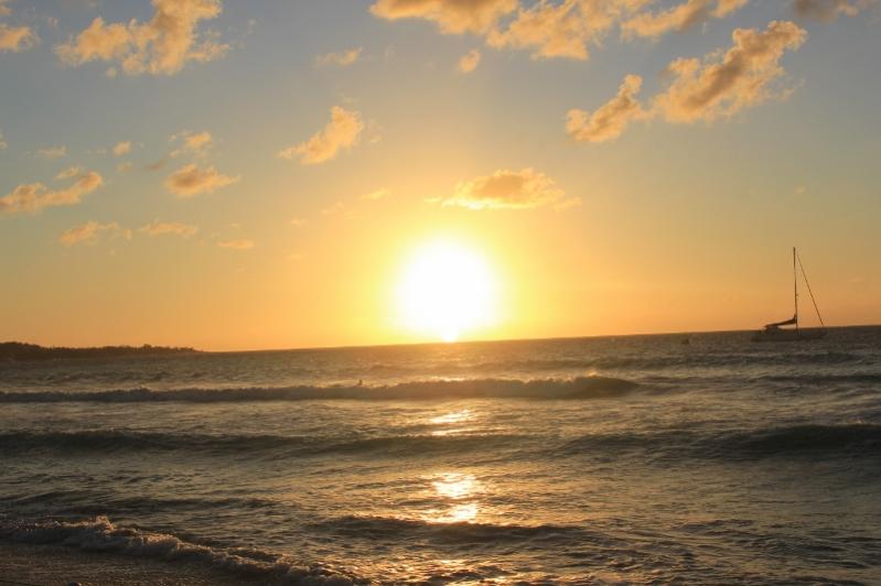 Name:  negril 28,2011 092 (800x533).jpg
Views: 675
Size:  45.9 KB