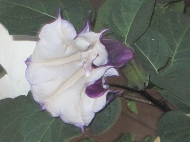 Name:  011.JPG
Views: 425
Size:  80.7 KB