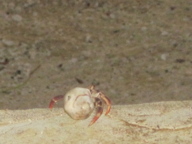Name:  009.JPG
Views: 435
Size:  81.6 KB