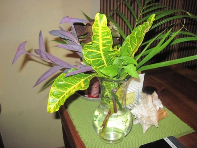 Name:  005.jpg
Views: 545
Size:  45.9 KB