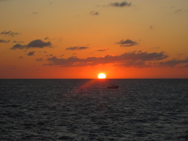 Name:  050.JPG
Views: 303
Size:  66.0 KB