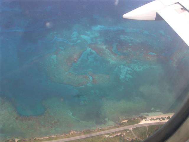 Name:  CIMG0581 (Small).JPG
Views: 718
Size:  31.2 KB