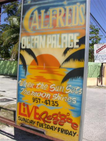 Name:  JamRock2009 137 (Small).jpg
Views: 793
Size:  42.1 KB