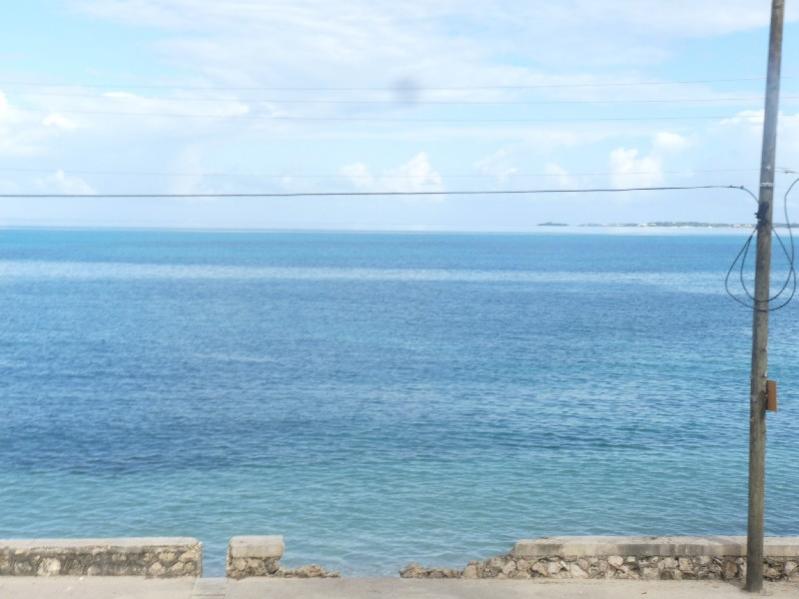 Name:  00066.jpg
Views: 959
Size:  50.2 KB