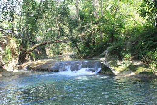 Name:  mayfield falls 062.jpg
Views: 455
Size:  54.5 KB