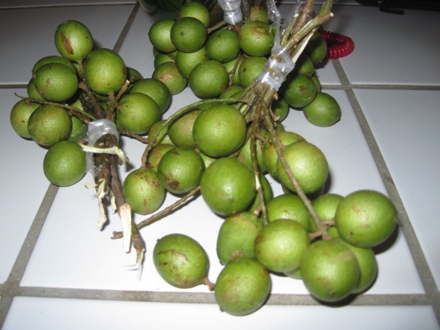 Name:  083.JPG
Views: 373
Size:  93.6 KB